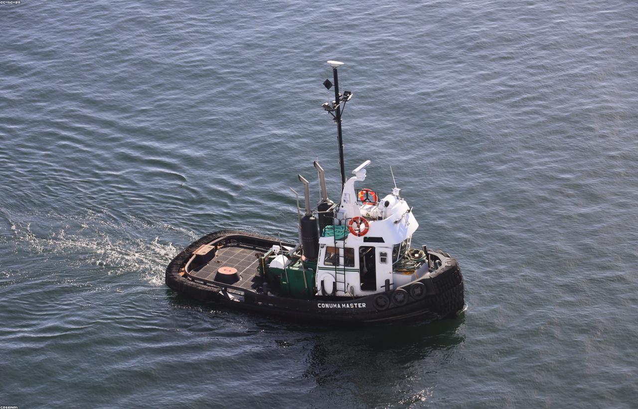Support vessel in active harbor